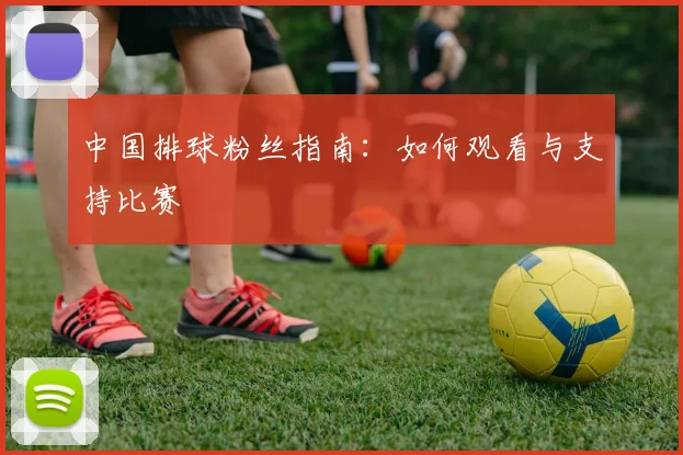 中国排球粉丝指南：如何观看与支持比赛