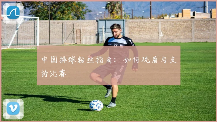 中国排球粉丝指南:如何观看与支持比赛